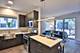 909 W Montana Unit 407, Chicago, IL 60614