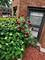 1614 N Harding Unit 3W, Chicago, IL 60647