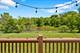 5 Covington, Algonquin, IL 60102