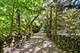 215 Prospect, Highland Park, IL 60035