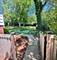 661 N Wren, Palatine, IL 60067
