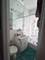 2328 N Lincoln Park West Unit 3A, Chicago, IL 60614