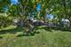 321 Ingleside, Aurora, IL 60506