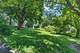 226 Ketten, Naperville, IL 60563