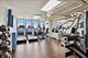 100 E Walton Unit 25H, Chicago, IL 60611