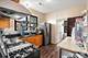 655 W 43rd, Chicago, IL 60609