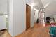 4019 N Bernard, Chicago, IL 60618