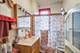 1032 S Maple, Oak Park, IL 60304