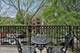 832 W Roscoe Unit 2, Chicago, IL 60657