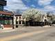 101 60th, Downers Grove, IL 60516