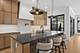 2214 W Oakdale, Chicago, IL 60618