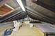 1846 W 23rd, Chicago, IL 60608
