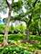 5961 Meadow Unit 161-F, Lisle, IL 60532