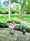5961 Meadow Unit 161-F, Lisle, IL 60532