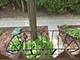5961 Meadow Unit 161-F, Lisle, IL 60532