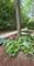 5961 Meadow Unit 161-F, Lisle, IL 60532