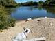 5961 Meadow Unit 161-F, Lisle, IL 60532