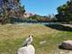 5961 Meadow Unit 161-F, Lisle, IL 60532
