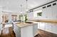 1331 W Wolfram, Chicago, IL 60657