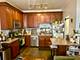 1042 W Bryn Mawr Unit 3, Chicago, IL 60660