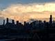 1523 W Thomas Unit 2, Chicago, IL 60642