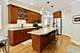 1523 W Thomas Unit 2, Chicago, IL 60642