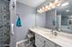 20838 W Peppertree, Plainfield, IL 60544