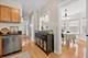 913 Highland, Oak Park, IL 60304