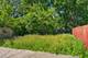 1018 W 104th, Chicago, IL 60643