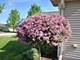 11926 Borhart, Huntley, IL 60142