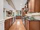 337 S Park, La Grange, IL 60525