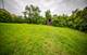 8919 W 95th, Palos Hills, IL 60465