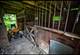 8919 W 95th, Palos Hills, IL 60465