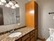 1712 Tina, Flossmoor, IL 60422