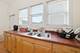 2643 S Hillock, Chicago, IL 60608