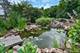 1125 W Wood, Palatine, IL 60067