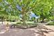 206 S Owen, Mount Prospect, IL 60056