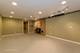 410 Prairie, Naperville, IL 60540