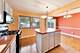 1081 Willson, Des Plaines, IL 60016