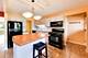 1081 Willson, Des Plaines, IL 60016