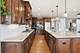 8743 Stone Creek, Frankfort, IL 60423