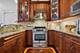 1640 W Belmont Unit 2, Chicago, IL 60657