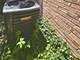 5931 Meadow Unit 157A, Lisle, IL 60532