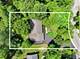 24431 W Lancelot, Joliet, IL 60404