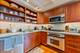 714 S Dearborn Unit 9-PH, Chicago, IL 60605