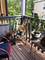 1237 W Wellington Unit 2F, Chicago, IL 60657