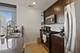 303 W Ohio Unit 3006, Chicago, IL 60654