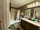 335 Abington Woods, Aurora, IL 60502
