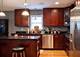 2534 N Marshfield Unit 1, Chicago, IL 60614