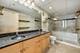 1430 S Michigan Unit PH2, Chicago, IL 60605